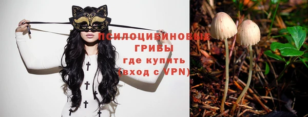 дурь Наволоки