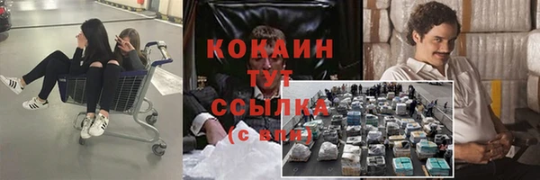 PSILOCYBIN Кострома