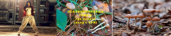 шишки Балахна