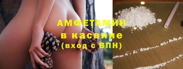 шишки Балахна