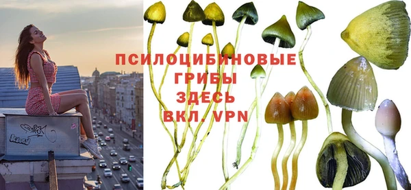 хмурый Балабаново