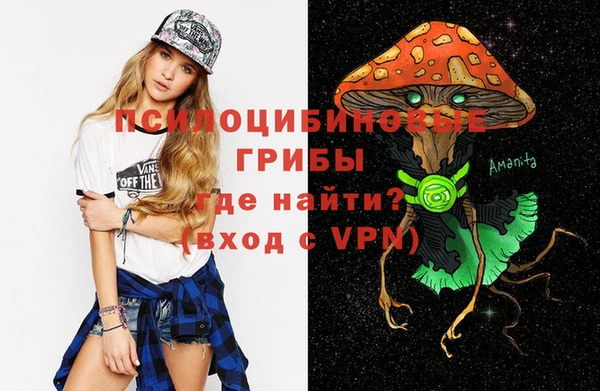 хмурый Балабаново
